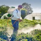 Why Is Lawn Care In Boynton Beach, Florida Beneficial?