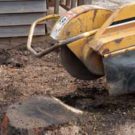 Do You Need a Stump Remover in Orange County?