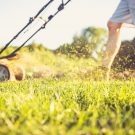 How to Find a Lawn Service in Longmont CO