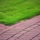 Are Paving Stones In Toledo, OH Better For Driveways?