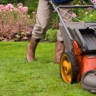 What Professional Landscapers Can Do For Your Yard