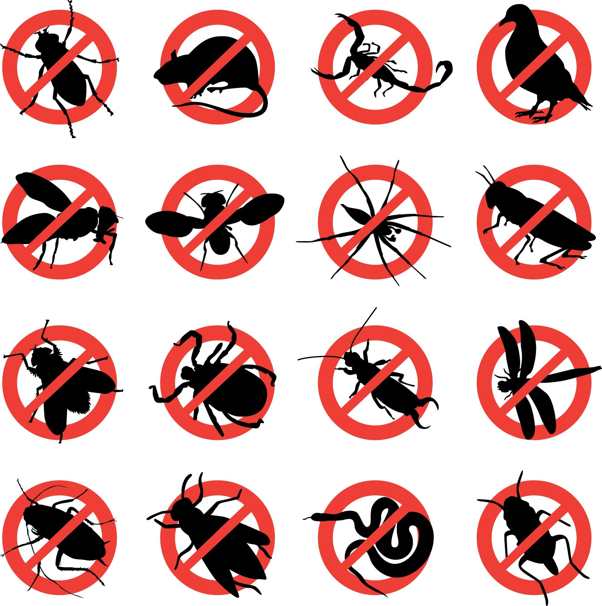 Get Help from Pest Control Companies in Elk Grove