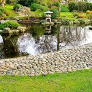 Keeping Your Lawn Looking Its Best In Hot And Dry Conditions