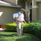 Tips For Pest Control In Minnetonka