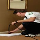 Using Pest Control Services in Boynton Beach Florida When Ants Are In A Home