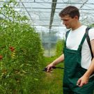 Expert Tree Care in New Canaan, CT Works Wonders with All of Your Trees