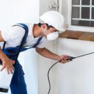 Eliminate Ants Problems With Local Pest Control Services in Peachtree City GA
