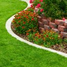 Beginners’ Tips for Lawn Mowing in Alpharetta