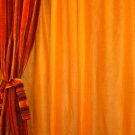 Add Beauty and Function to Your Sarasota Home with Shutter Blinds