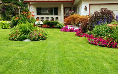 Create Lasting Beauty with Professional Landscape Maintenance Services in Reading, PA