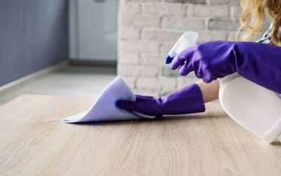Create a Healthier Space Using Deep Cleaning Services In South Tampa, FL, for Your Family