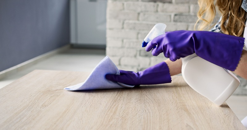 Create a Healthier Space Using Deep Cleaning Services In South Tampa, FL, for Your Family